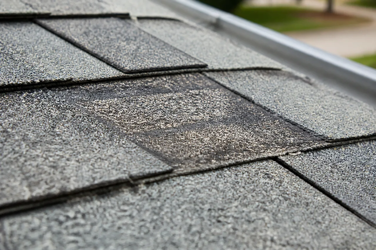 Close view of architectural asphalt shingles with localized surface granule loss